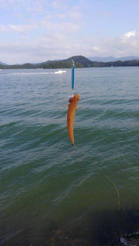 エソしか釣れへん