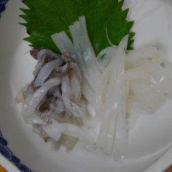 エギング、成長早いです！