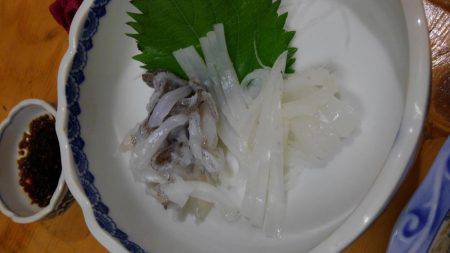 エギング、成長早いです！