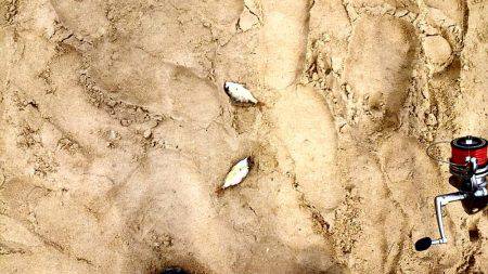 キスが食べたくて…