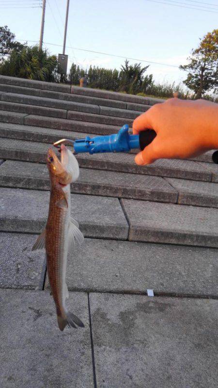 渋いと思うんですよ