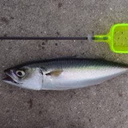 台風が来る前に、