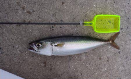 台風が来る前に、