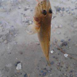 30分一本勝負！