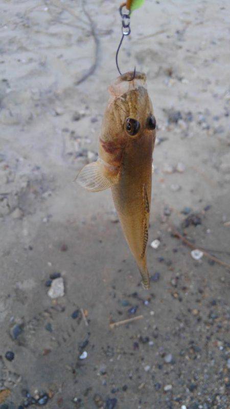 30分一本勝負！