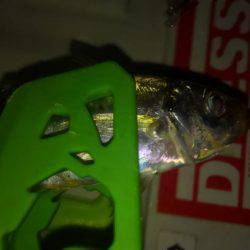 息抜きアジング