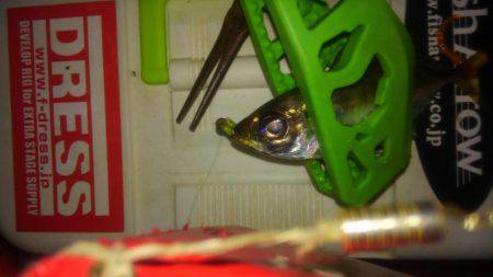 ワインド不発後