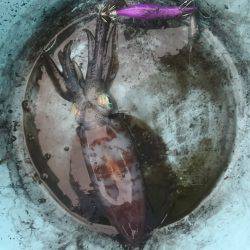 日本海でティップラン