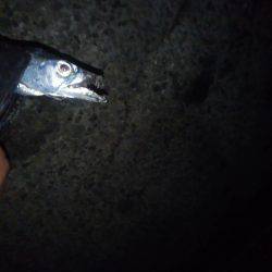 台風さって早速