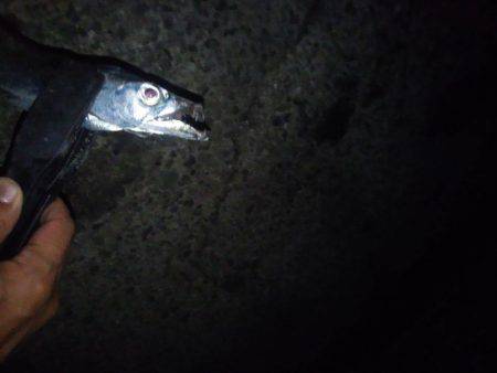 台風さって早速