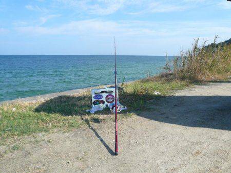 早朝から明神でキス狙い