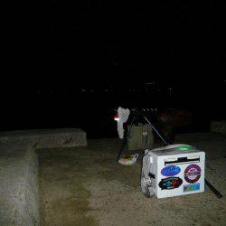 洲本砂場でキス狙い