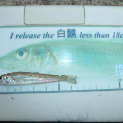 台風通過後初の淡路釣行