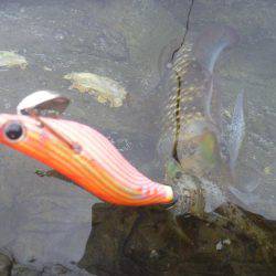 久しぶりの中紀エギング