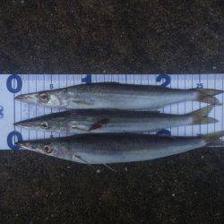 時合に遅れ。。。