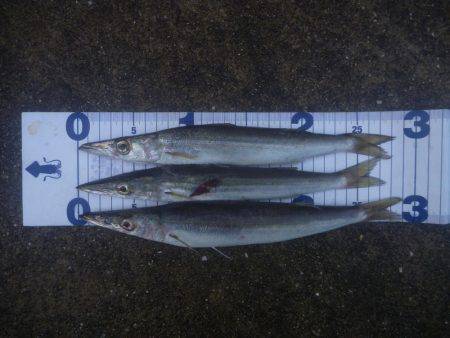 時合に遅れ。。。