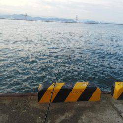 今年初めの太刀魚・・・・