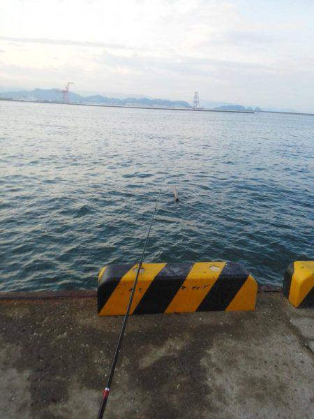 今年初めの太刀魚・・・・