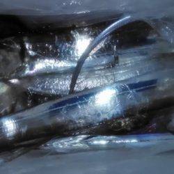 ワインドタチウオ