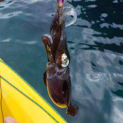 風とうねりで岸ぎわで…