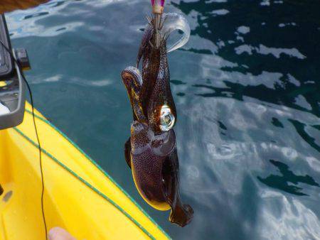 風とうねりで岸ぎわで…