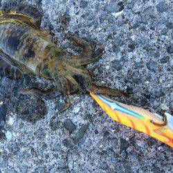 ちょいランガン