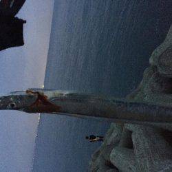 タチウオぉぉー！