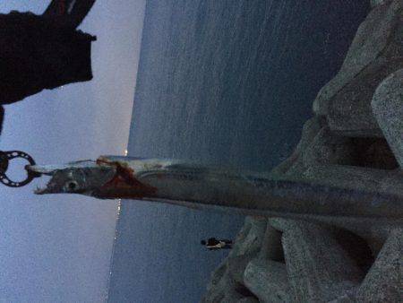 タチウオぉぉー！