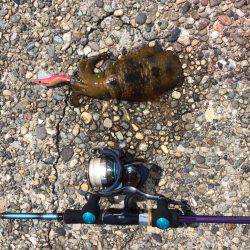 アジング＆エギング