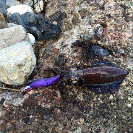 昨日に引き続き…