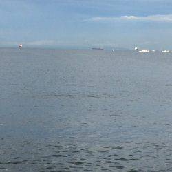 北港周辺で朝練