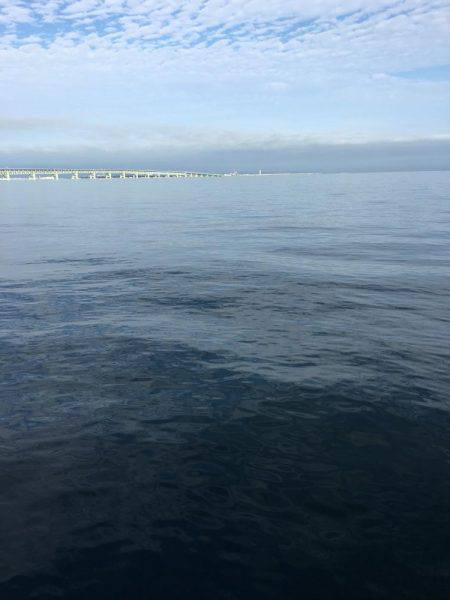 青物狙いの前に太刀魚