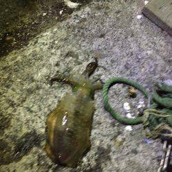 久しぶりの平日休み♪