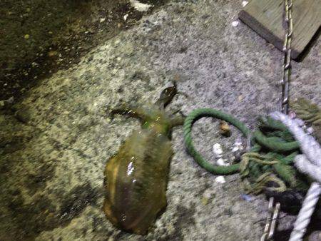 久しぶりの平日休み♪