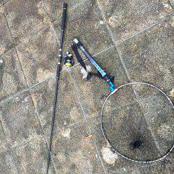 354不在につきサビキ