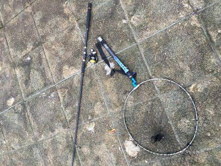 354不在につきサビキ