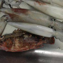 台風来るまでに