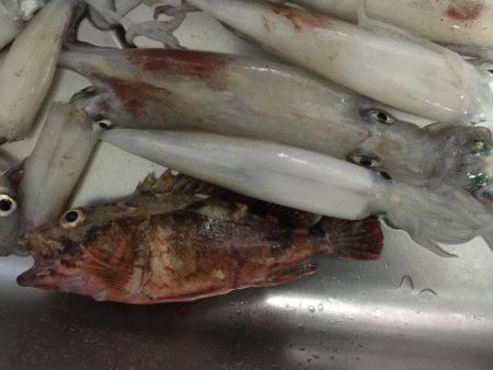 台風来るまでに