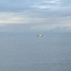 マイポイントで朝練