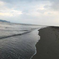 シーバス狙いからのマゴチ