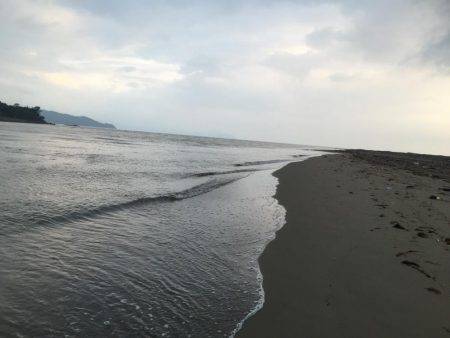 シーバス狙いからのマゴチ