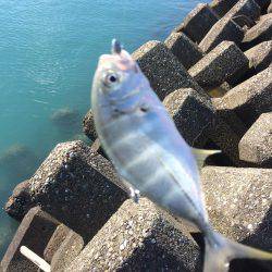 初モノばっかり！！