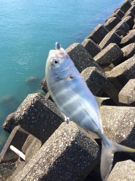 初モノばっかり！！