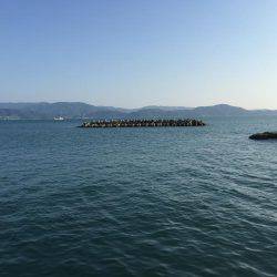 田ノ浦漁港エギング14回目