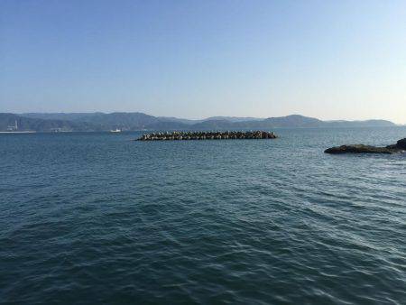 田ノ浦漁港エギング14回目