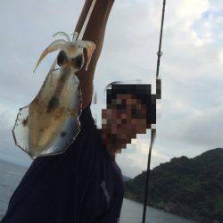 日本海秋アオリ調査