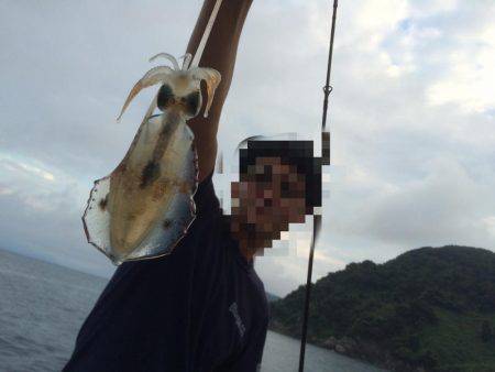 日本海秋アオリ調査