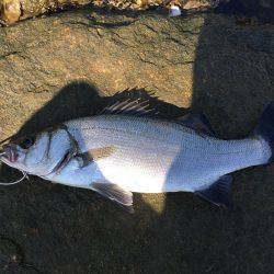 朝練 残業ありです。