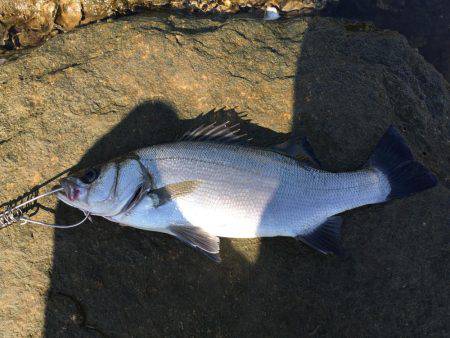 朝練 残業ありです。