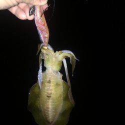 潮は良くないけど・・・